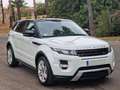 Land Rover Range Rover Evoque 2.2L TD4 Dynamic 4x4 Blanc - thumbnail 11