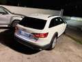 Audi A4 allroad 40 TDI Business Evolution quattro 190cv s tronic Bianco - thumbnail 7