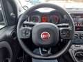 Fiat Panda 1.0 CROSS (71 PS) Mild Hybrid Vert - thumbnail 9