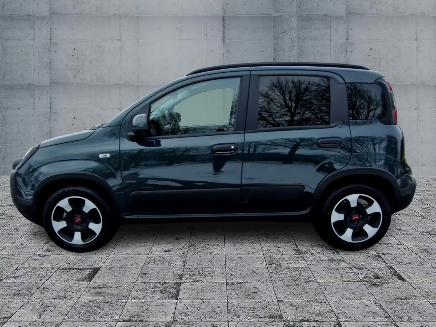 Fiat Panda 1.0 CROSS (71 PS) Mild Hybrid Vert - 2