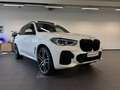 BMW X5 xDrive25d M Sport HUD PANO RFK NAVI LED DAB Bianco - thumbnail 17