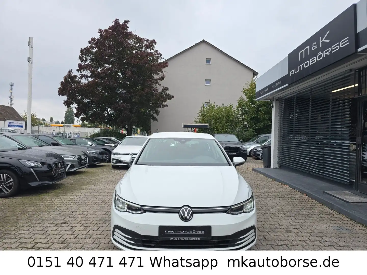 Volkswagen Golf VIII Lim. Life Blanc - 2