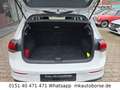 Volkswagen Golf VIII Lim. Life Blanc - thumbnail 10