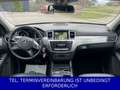 Mercedes-Benz ML 350 CDI AMG Air AHK Vollleder XENON PanoDach Grau - thumbnail 12
