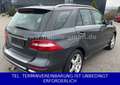 Mercedes-Benz ML 350 CDI AMG Air AHK Vollleder XENON PanoDach Grau - thumbnail 2