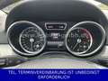 Mercedes-Benz ML 350 CDI AMG Air AHK Vollleder XENON PanoDach Grau - thumbnail 4