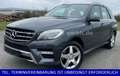 Mercedes-Benz ML 350 CDI AMG Air AHK Vollleder XENON PanoDach Grau - thumbnail 1