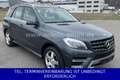 Mercedes-Benz ML 350 CDI AMG Air AHK Vollleder XENON PanoDach Grau - thumbnail 6