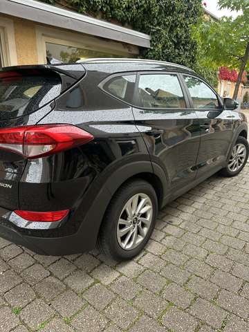 Hyundai TUCSON blue 1.6 GDi 2WD Trend