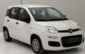 Fiat Panda Panda 1.0 firefly hybrid Blanc - thumbnail 2