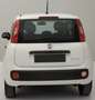 Fiat Panda Panda 1.0 firefly hybrid Blanc - thumbnail 6