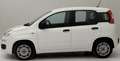Fiat Panda Panda 1.0 firefly hybrid Blanc - thumbnail 5