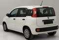 Fiat Panda Panda 1.0 firefly hybrid Blanc - thumbnail 7