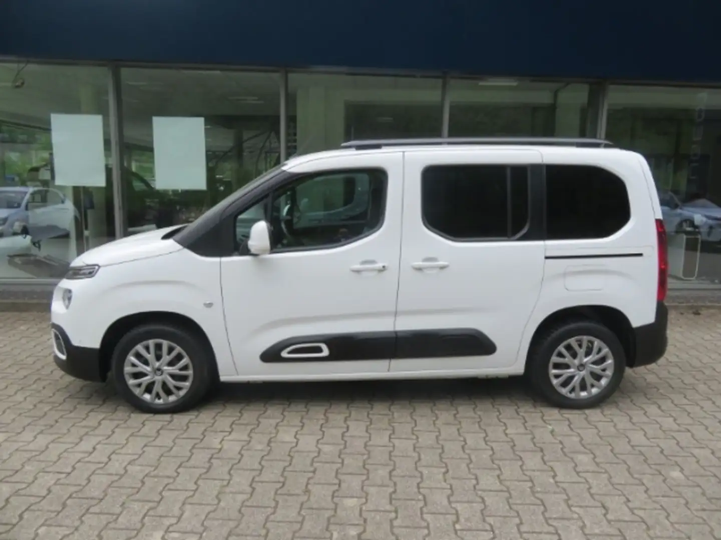Citroen Berlingo M BlueHDi 130 EAT8 SHINE HUD Navi SHZ Parklenkass. Blanco - 1