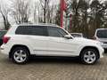 Mercedes-Benz GLK 220 *Navi/Siztheizung/AHK** Wit - thumbnail 5