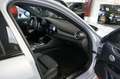 Alfa Romeo Giulia 2.0 T GME AWD Competitzione | Ragazzon | Q Breedse Grau - thumbnail 35