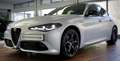 Alfa Romeo Giulia 2.0 T GME AWD Competitzione | Ragazzon | Q Breedse Grau - thumbnail 5