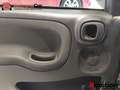 Fiat Panda 1.0 MHEV CITY LIFE 70 5P Negro - thumbnail 29
