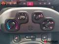 Fiat Panda 1.0 MHEV CITY LIFE 70 5P Negro - thumbnail 26