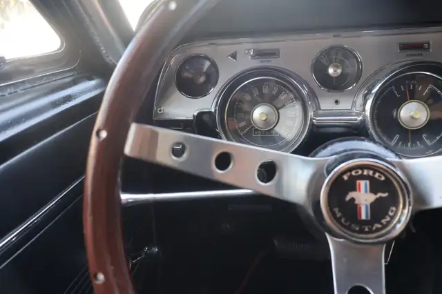 Ford Mustang view 14