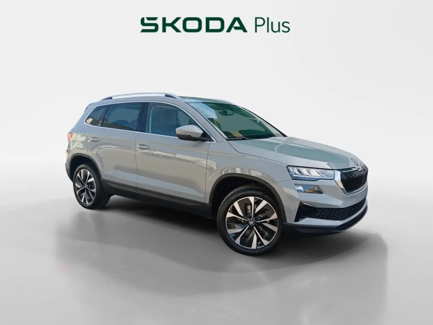 Skoda Karoq SELECTION 1,5 TSI 110 KW (150 CV) MANUAL 6 VEL. Gris - 1
