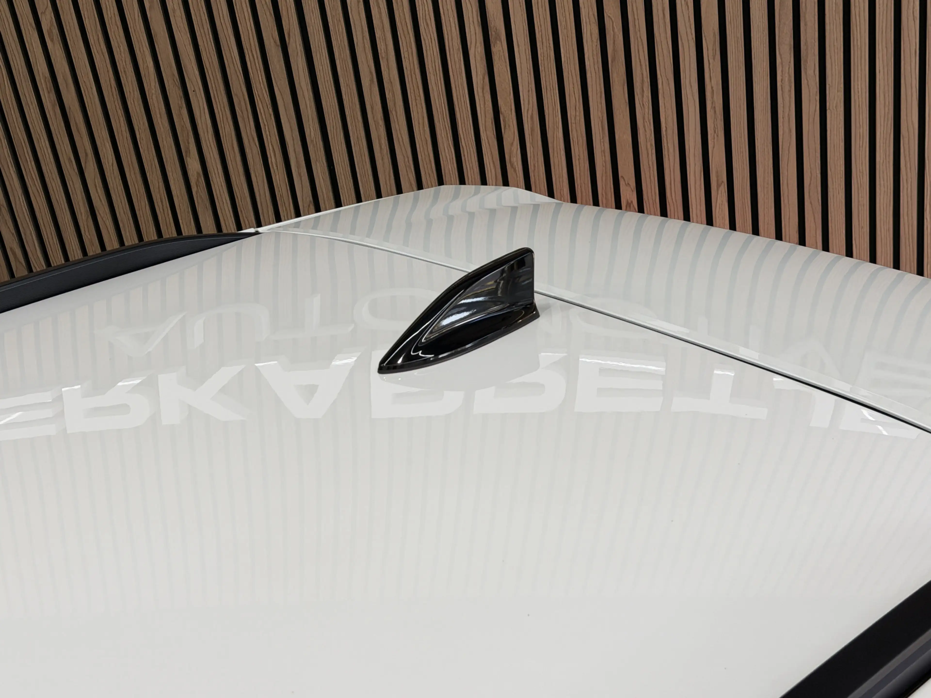 Renault Scenic E-Tech 87 KWH long range Esprit Alpine Groot Navi — photo 22