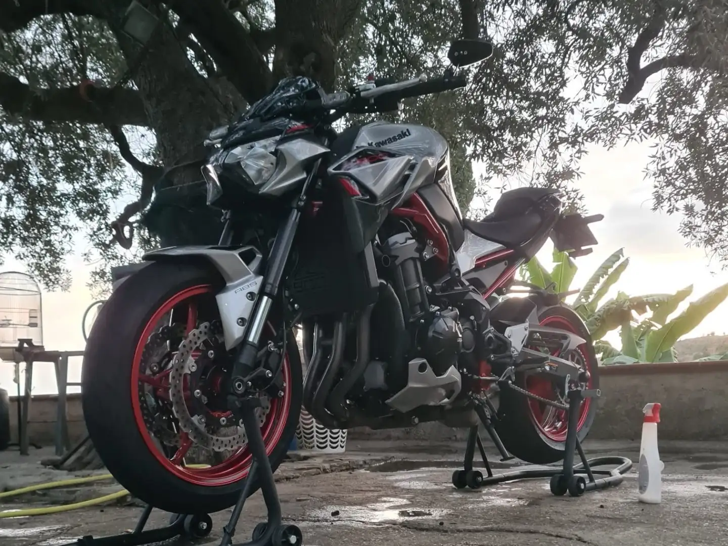 Kawasaki Z 900 Rosso - 2