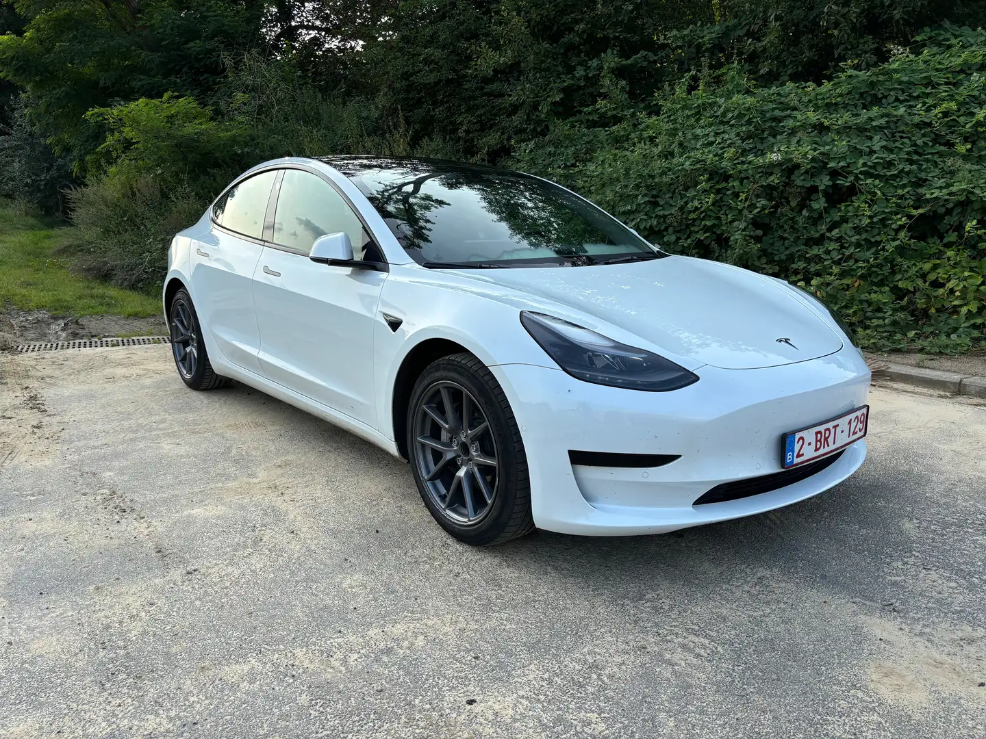 Tesla Model 3 Tesla Model 3 Standard Range Plus Blanc - 1