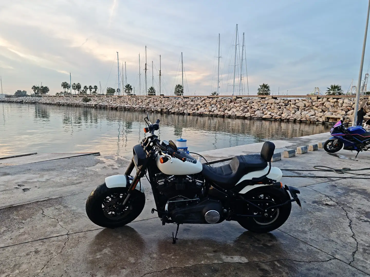 Harley-Davidson Fat Bob Blanco - 2