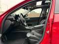 Alfa Romeo Giulia 2.0 T AWD Veloce | Pano | Harman Kardon Rojo - thumbnail 13