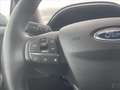 Ford Puma 1.0 EcoBoost Hybrid 125 CV S&S Titanium Grigio - thumbnail 19