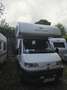 Fiat Ducato Ducato 10 230.439.1 C1C Weiß - thumbnail 2