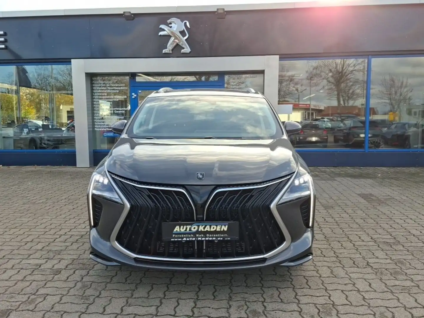 DFSK Forthing 4 Gris - 2