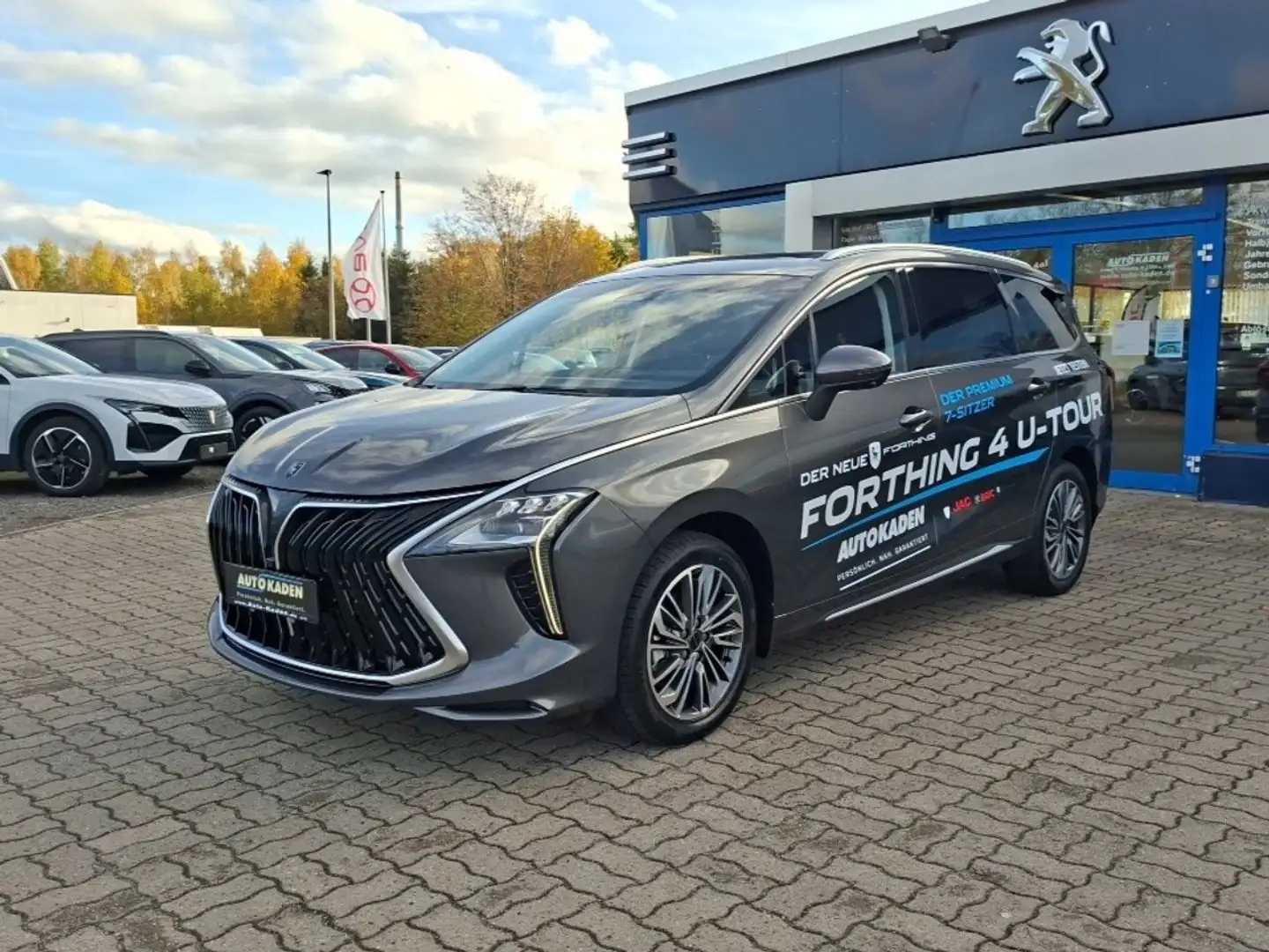 DFSK Forthing 4 Gris - 1