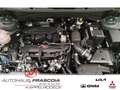 Kia Sportage Vision 1.6 4WD Mild-Hybrid Navi LED PDC Rückfahrka Noir - thumbnail 13