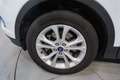 Ford Kuga 2.0TDCi Auto S&S Titanium Limited Edition 4x2 120 Blanco - thumbnail 11