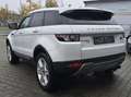 Land Rover Range Rover Evoque Pure Blanc - thumbnail 9
