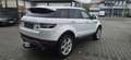 Land Rover Range Rover Evoque Pure Blanc - thumbnail 5