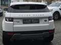Land Rover Range Rover Evoque Pure Blanc - thumbnail 4