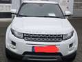 Land Rover Range Rover Evoque Pure Blanc - thumbnail 7