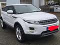 Land Rover Range Rover Evoque Pure Blanc - thumbnail 6