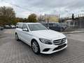 Mercedes-Benz C 220 d Full-LED Navi T-Leder Automatik Klima RFK Blanc - thumbnail 3