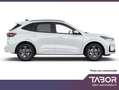 Ford Kuga 2.5 PHEV 243 eCVT ST-Line LED GPS Cam Blanc - thumbnail 2
