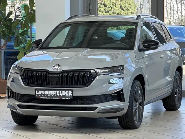 Skoda Karoq view 8