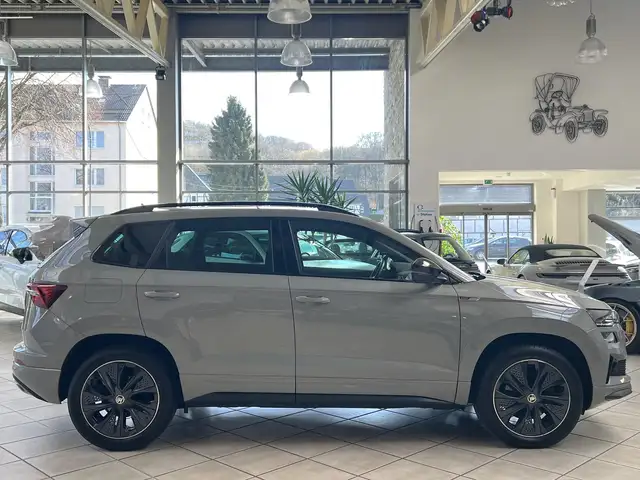 Skoda Karoq view 2