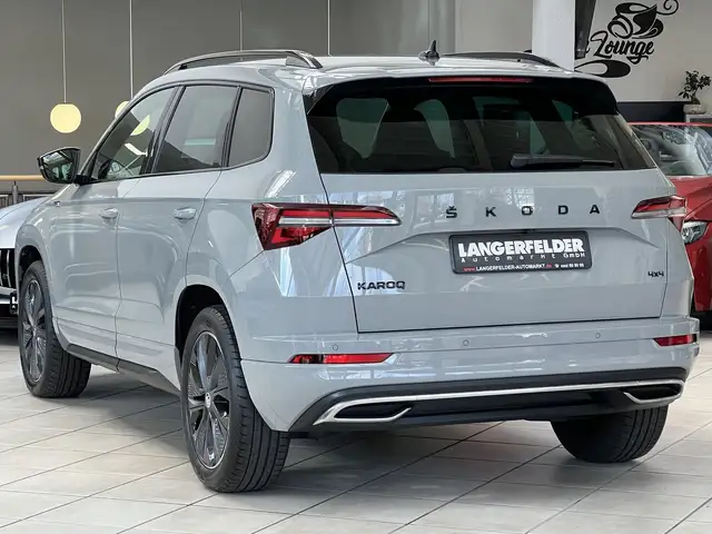 Skoda Karoq view 6