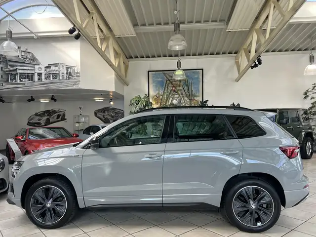 Skoda Karoq view 7