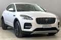 Jaguar E-Pace 2.0D I4 163 CV MHEV AWD Auto Bianco - thumbnail 4