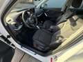 Audi Q2 30 TFSI Design Pro Line Plus Bianco - thumbnail 18
