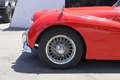 Triumph TR 3A Rouge - thumbnail 14